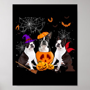 Lustiger Kürbis Hexe Boston Terrier Hund Halloween Poster