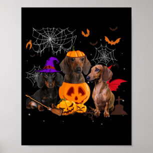 Lustiger Kürbis Hexe Dachshund Passender Hund Poster