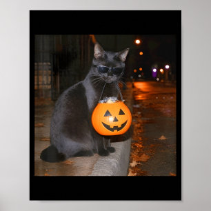 Lustiger Kürbis Katzen Meme Trick or Treat Hallowe Poster