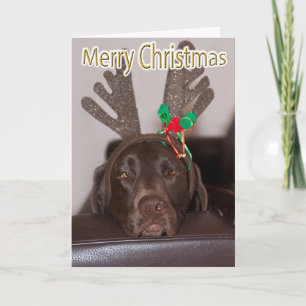 Lustiger Labrador Glitter Hirschgeweih mit individ Feiertagskarte