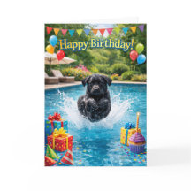 Lustiger Labrador-Welpe planscht im Pool