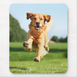 Lustiger laufender Hund Mousepad