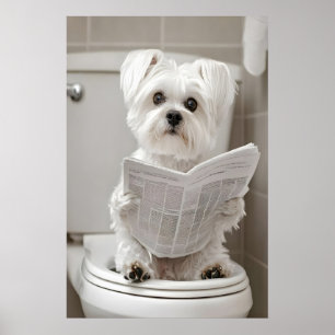 Lustiger malteser Hund Badezimmer Druck, Zeitungs Poster