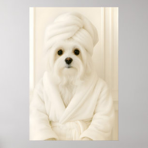 Lustiger maltesischer Badezimmerdruck, Malteser in Poster