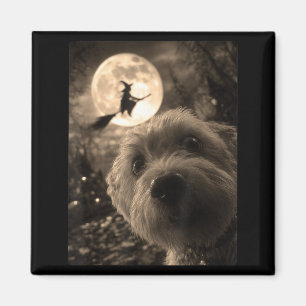 Lustiger maltesischer Selfie Vollmond fliegende He Magnet