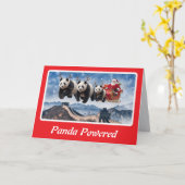 Lustiger Panda-Bär-Weihnachten Karte (Gelbe Blume)