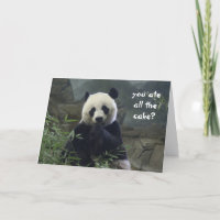 Lustiger Panda-Geburtstag, kein Kuchen? Verwirrt!