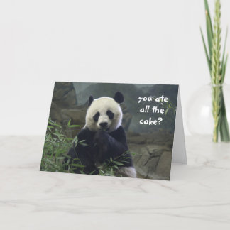 Lustiger Panda-Geburtstag, kein Kuchen? Verwirrt! Karte