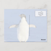 Lustiger Pinguin Danke Postkarte (Rückseite)