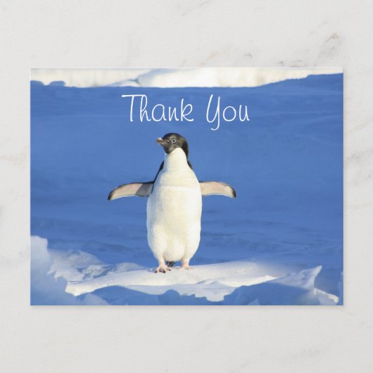 Lustiger Pinguin Danke Postkarte (Vorderseite)