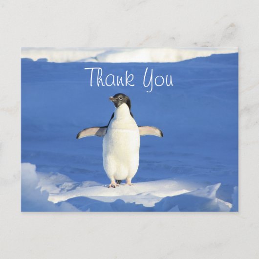 Lustiger Pinguin Danke Postkarte (Vorderseite)