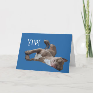 Lustiger Pit Bull Karte