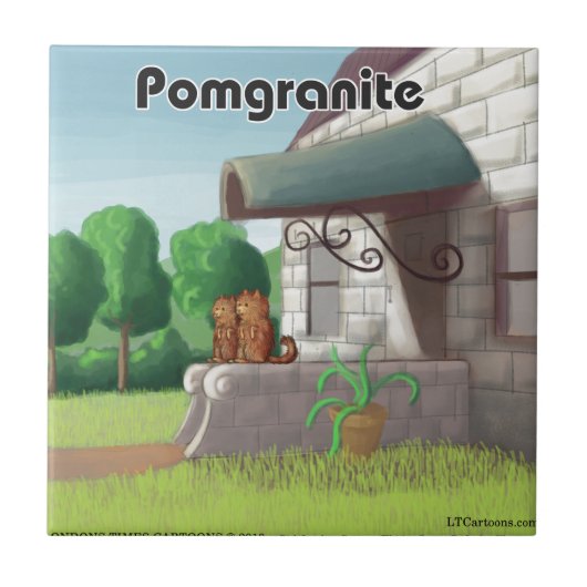 Lustiger Pomeranian auf Granit (Pomegranit) Fliese (Vorderseite)