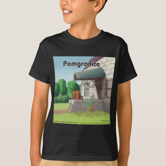 Lustiger Pomeranian auf Granit (Pomegranit) T-Shirt (Vorderseite)
