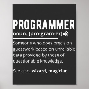 Lustiger Programmierer-Code-Entwickler-Bedeutung D Poster
