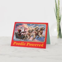 Lustiger Pudel Weihnachtsfeiertag