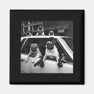 Lustiger Pug-Meme Pug-Gangster-Hund Straßenstyle  Magnet
