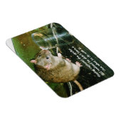 lustiger Rattenmagnet Magnet (Rechte Seite)