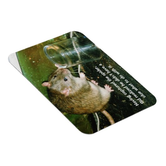 lustiger Rattenmagnet Magnet (Rechte Seite)