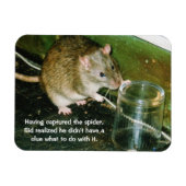 lustiger Rattenmagnet Magnet (Horizontal)
