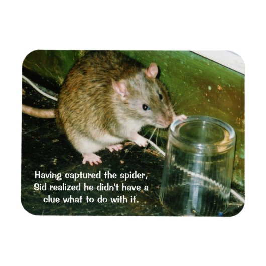 lustiger Rattenmagnet Magnet (Horizontal)