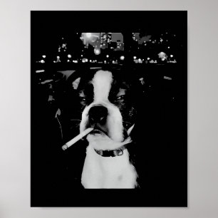 Lustiger rauchender Hund Meme  Poster