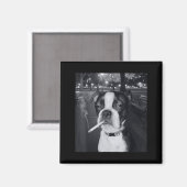 Lustiger rauchender Hund Meme Zigarette Gen Z Meme Magnet (Vorderseite/Rückseite)