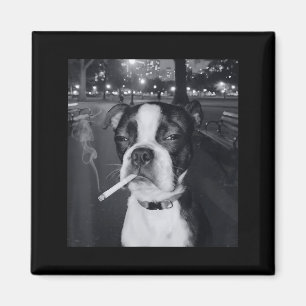 Lustiger rauchender Hund Meme Zigarette Gen Z Meme Magnet