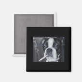 Lustiger rauchender Hund Meme Zigarette Gen Z Meme Magnet (Vorderseite/Rückseite)