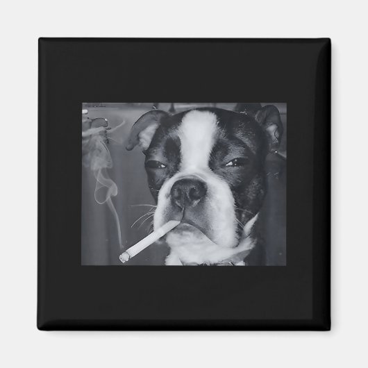 Lustiger rauchender Hund Meme Zigarette Gen Z Meme Magnet (Vorne)