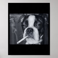 Lustiger rauchender Hund Meme Zigarette Gen Z Meme