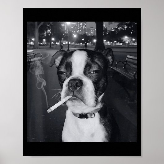 Lustiger rauchender Hund Meme Zigarette Gen Z Meme Poster (Vorne)