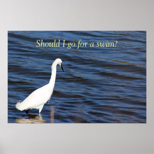 Lustiger Reiher Poster (Vorne)