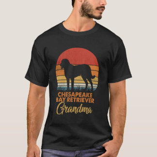 Lustiger Retro Vintage Sonnenuntergang Chesapeake T-Shirt