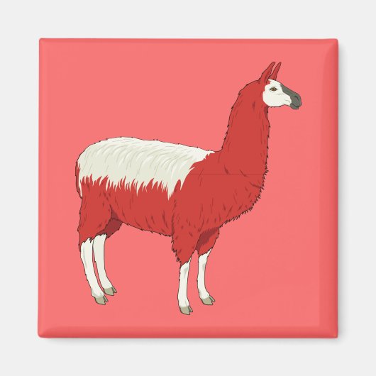 Lustiger roter Lama Magnet (Vorne)
