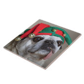 Lustiger schauender Mops mit der Zunge, die heraus Fliese (Seite)