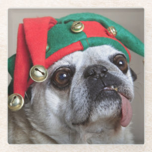 Lustiger schauender Mops mit der Zunge, die heraus Glasuntersetzer