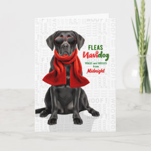 Lustiger Schwarzer Labrador Hund Flöhe Navidog mit Feiertagskarte