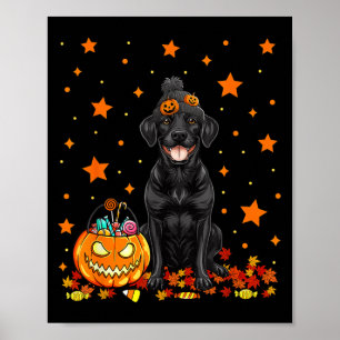 Lustiger schwarzer Labradorhund und Kürbisbonbon Poster
