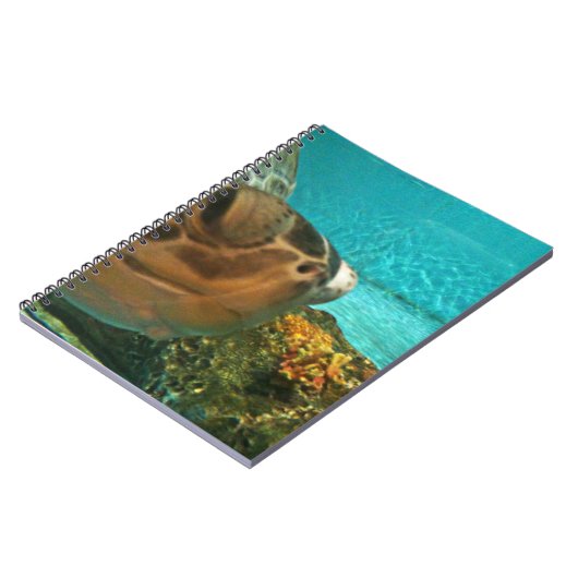Lustiger Seeschildkröte-flüchtiger Blick Notizblock (Linke Seite)
