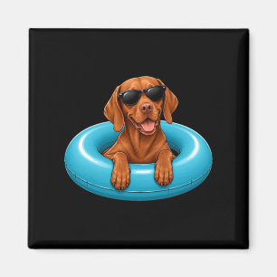 Lustiger Sommer-Vizsla-Hund im Pool schwimmt mit S Magnet