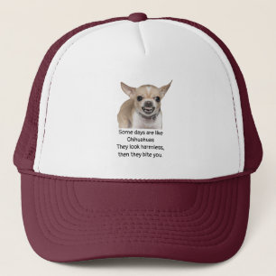 Lustiger Spruch über das Leben mit Chihuahua-Hund Truckerkappe