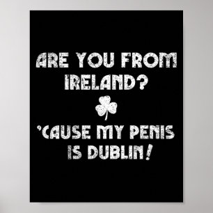 Lustiger St. Patty's Day unangemessener Anmachspru Poster
