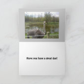 Lustiger Strauß-Geburtstag Karte (Innenseite)