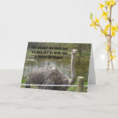 Lustiger Strauß-Geburtstag Karte (Gelbe Blume)