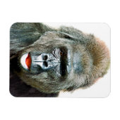 LUSTIGER SÜßER GORILLA MAGNET (Horizontal)