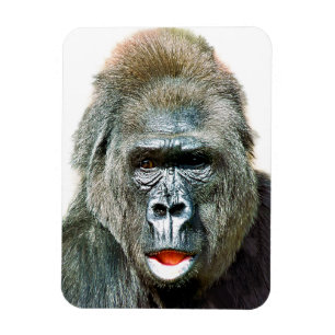 LUSTIGER SÜßER GORILLA MAGNET
