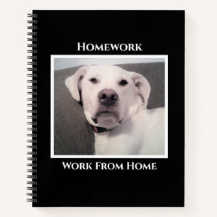 Lustiger süßer mürrischer weißer Hund schwarze Hau Notizblock