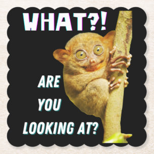 Lustiger Tarsier mit großen Augen, was siehst du? Untersetzer