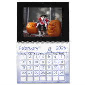 Lustiger Tierkalender Kalender (Feb 2026)